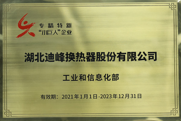 首批重点国家级专精特新“小巨人”企业
